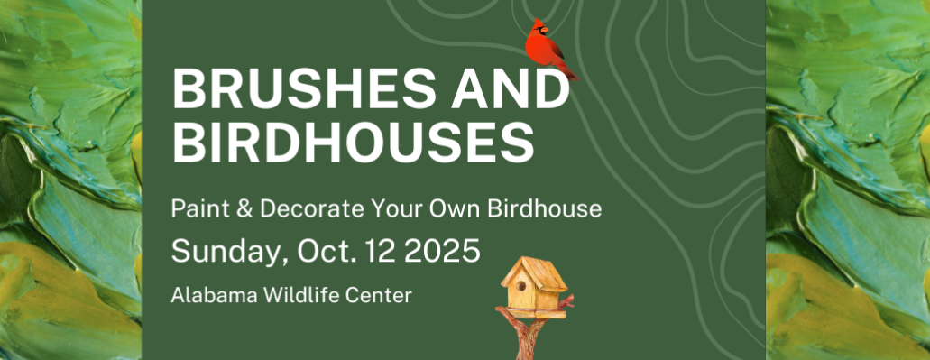 Brushes and Birdhouses 2025